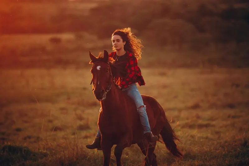 A rider on a brown horse in an open field